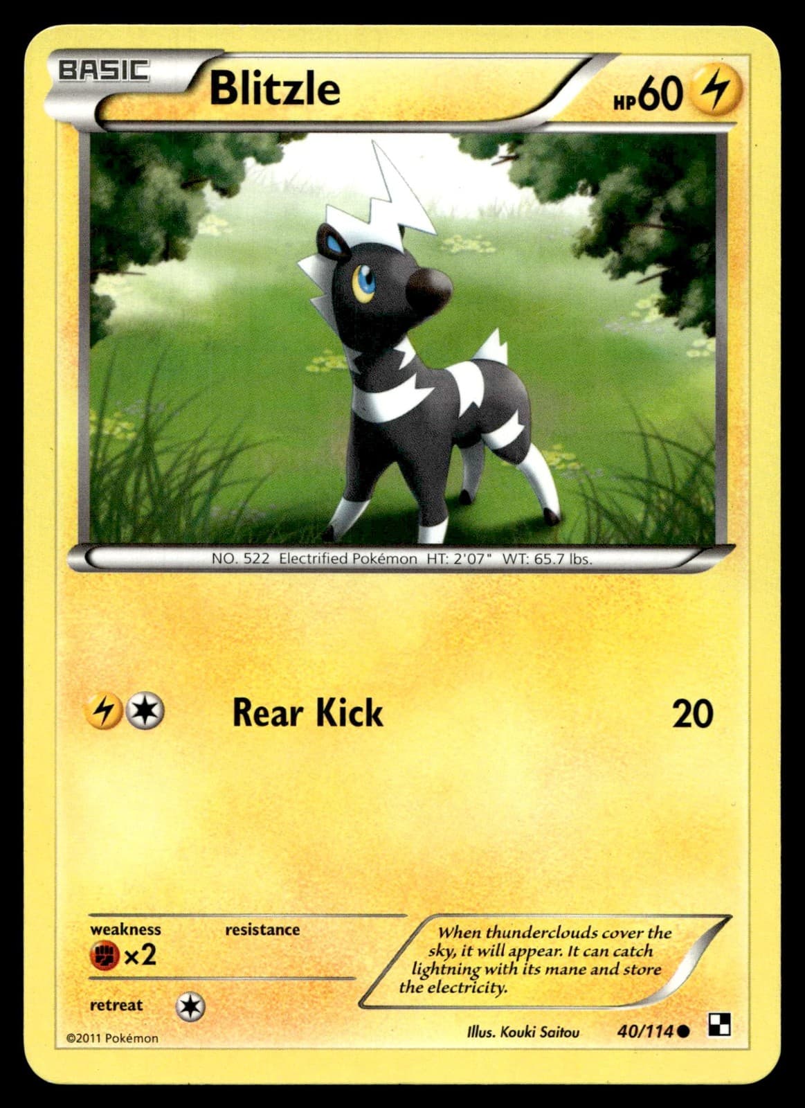 Blitzle (40) 40/114 - Pokemon Black and White - NM