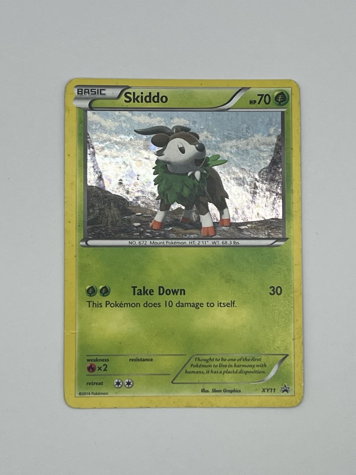 Skiddo XY11 XY Holo
