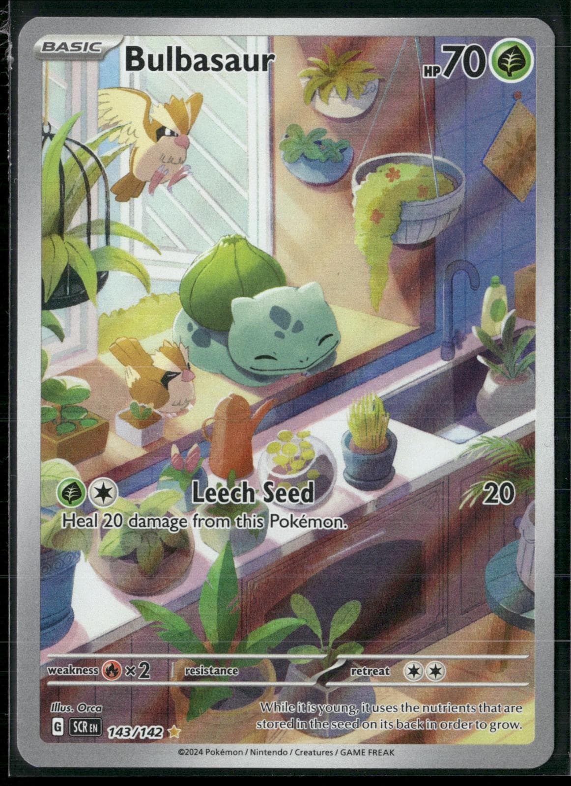 Bulbasaur 143/142 Illustration Rare Stellar Crown Pokemon Holo Near Mint