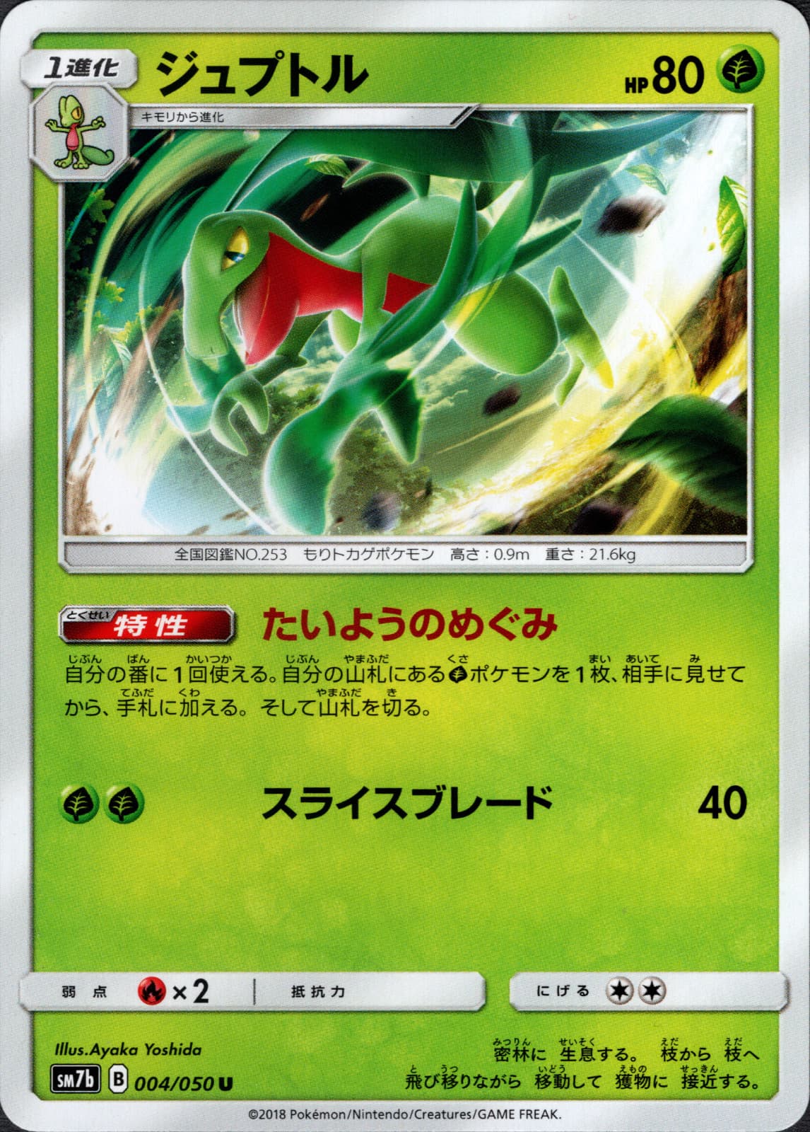 Grovyle (004/050) Japanese Sun & Moon SM7b Fairy Rise [Near Mint]