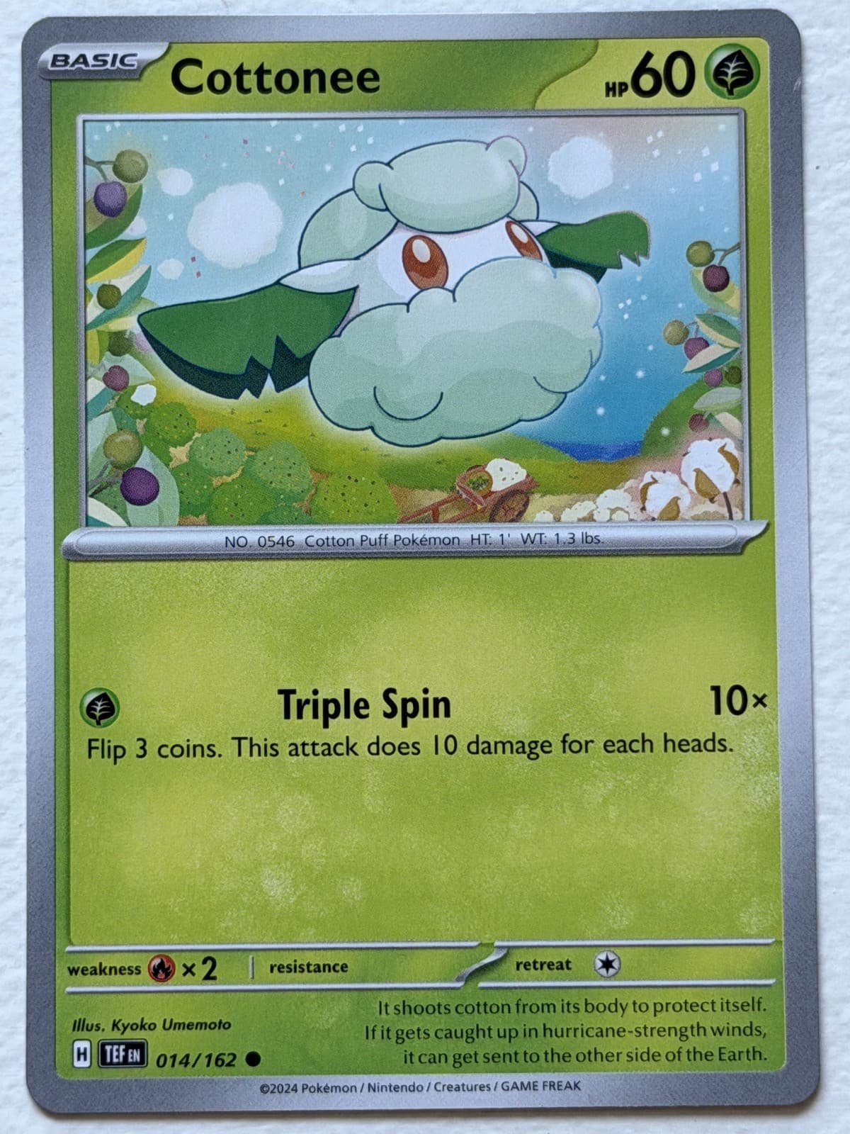 Cottonee 14/162 Temporal Forces Common Near Mint Pokemon