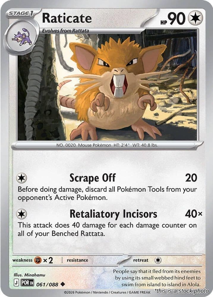 Pokemon | Raticate [POR - 061/088] NM