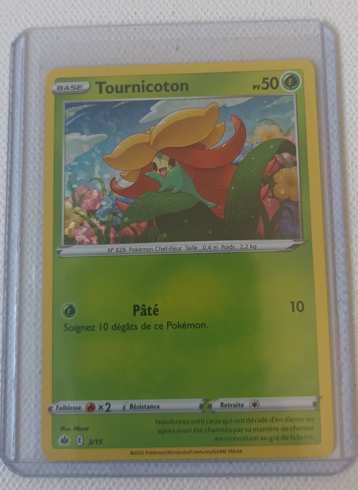 Carte Pokémon Tournicoton 3/15 Holo Promo McDonald’s 2022 FR NEUVE