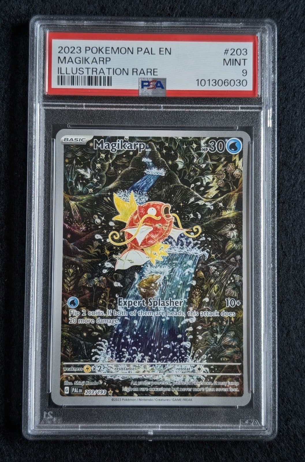 Pokémon Magikarp Illustration Rare Paldea Evolved 203/193 PSA 9