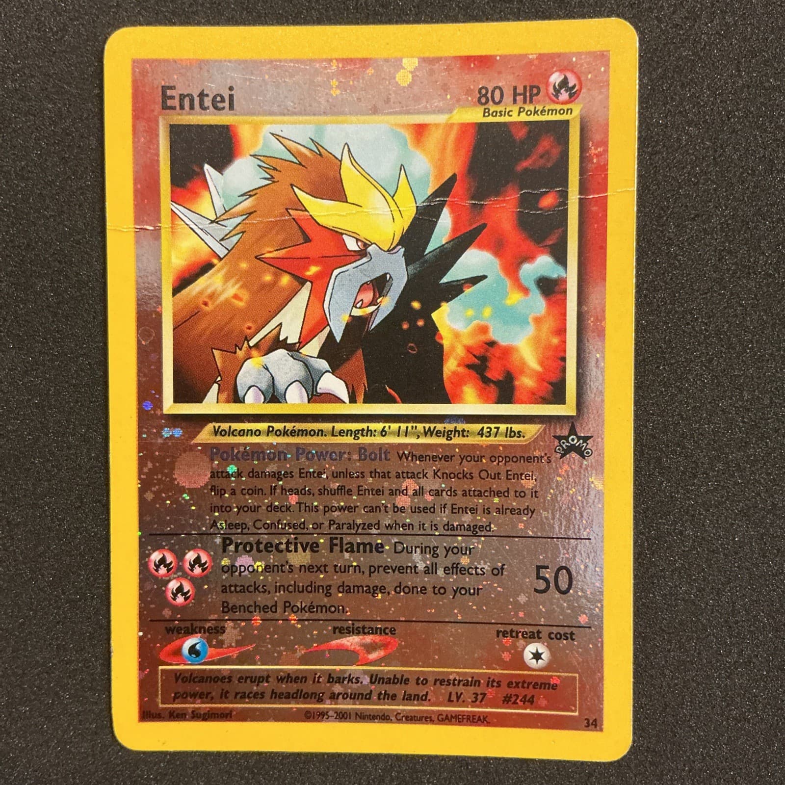 Entei Wizards Black Star Promos 34 Holo Promo 2002 80HP English Sugimori HP