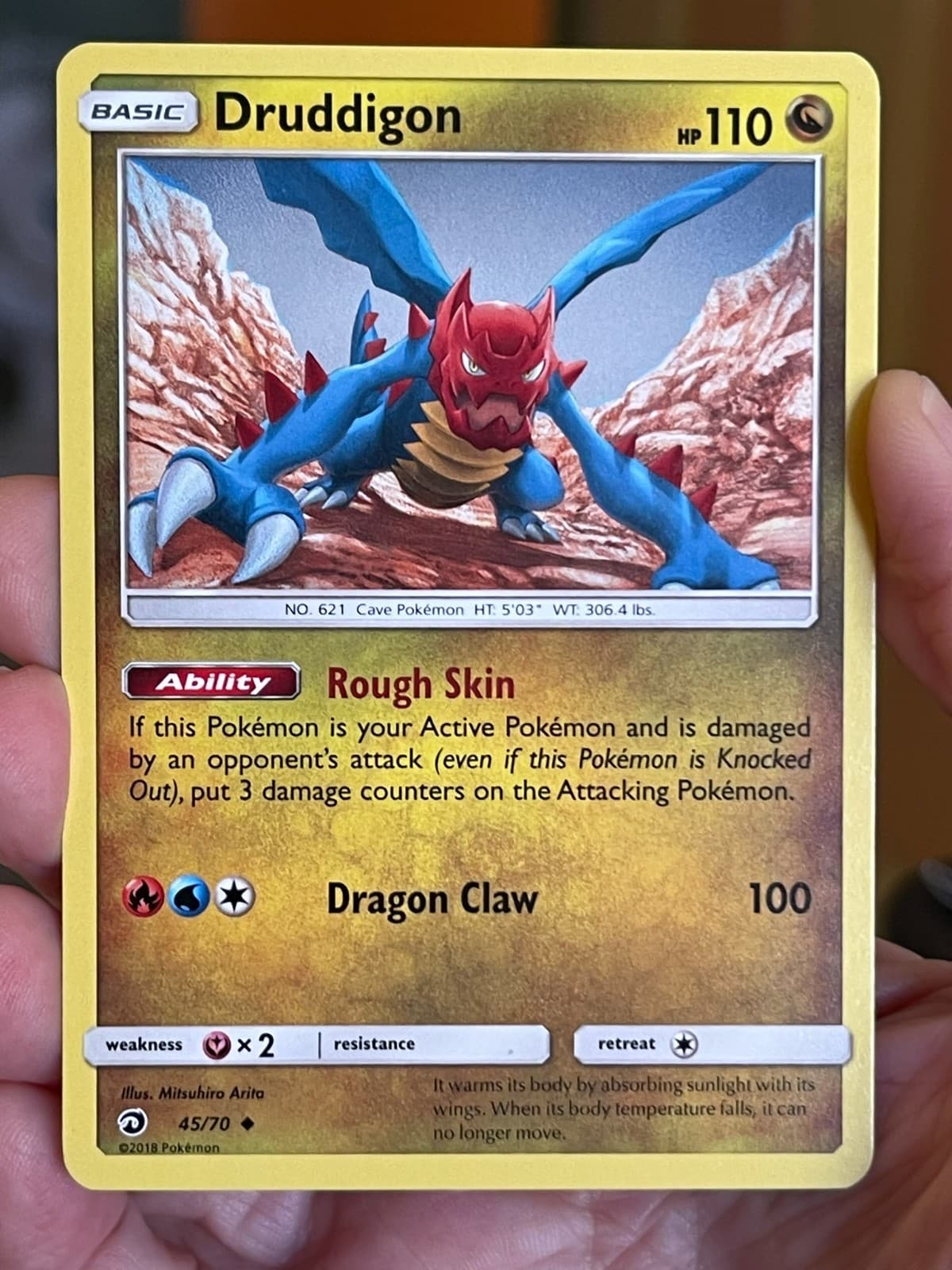 POKEMON DRUDDIGON UNCOMMON 45/70 RARE DRAGON MAJESTY NM CARD
