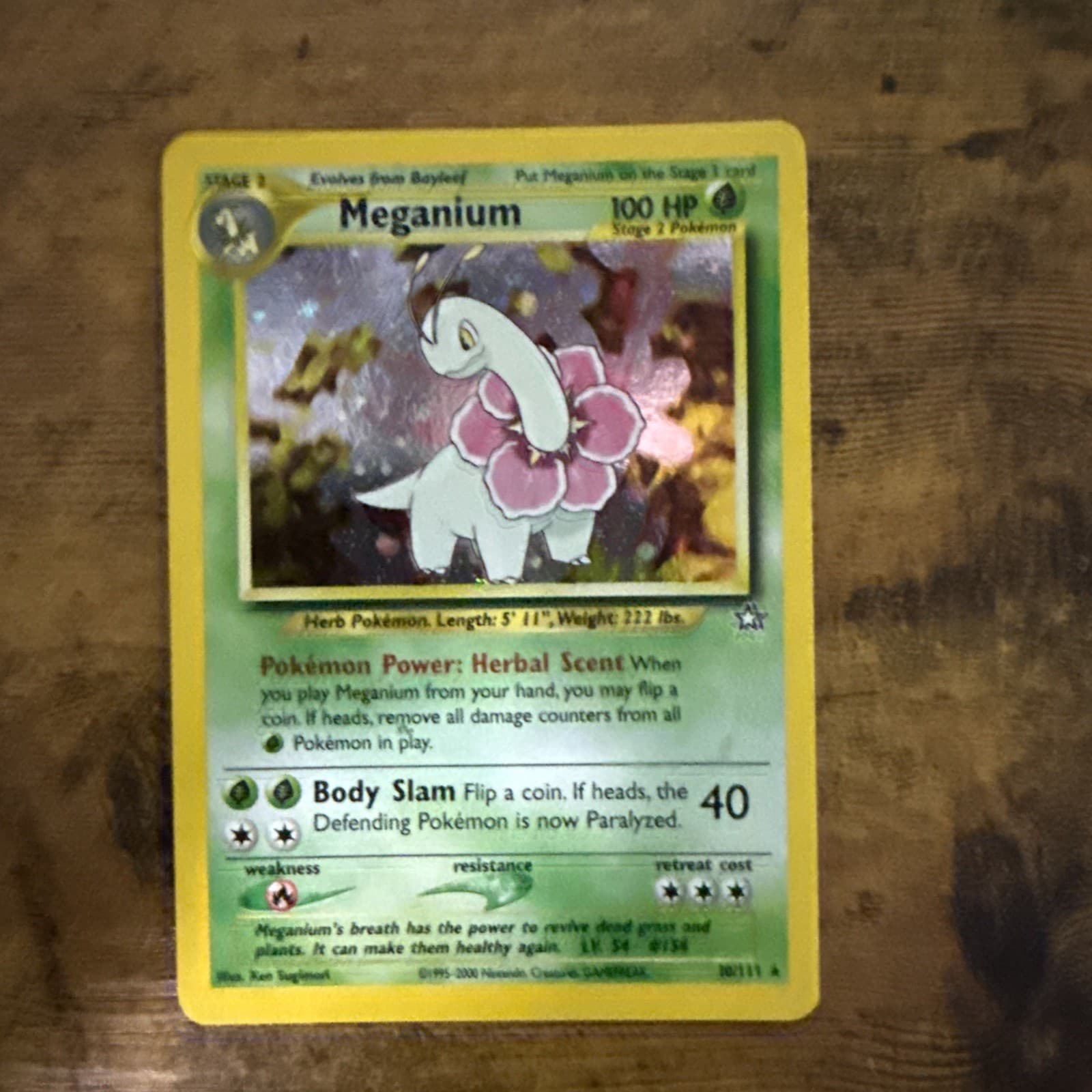 Meganium 10/111 Neo Genesis Holo