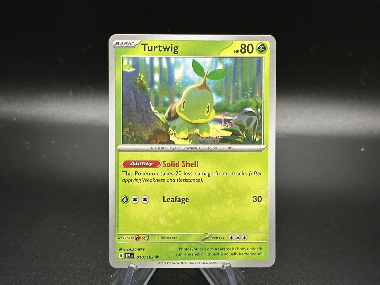 Turtwig - 10/162 Temporal Forces - Pokémon TCG