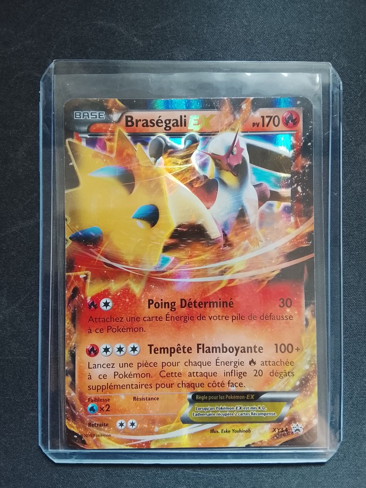 Carte Pokémon Braségali EX XY54 170PV FR Promo XY - Eske Yoshinob (2015)
