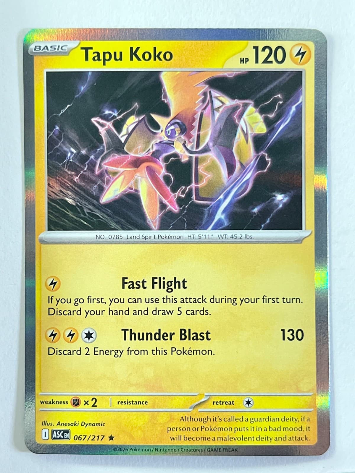 Tapu Koko 067/217 Holo Rare Ascended Heroes Pokemon TCG Pack Fresh Near Mint NM