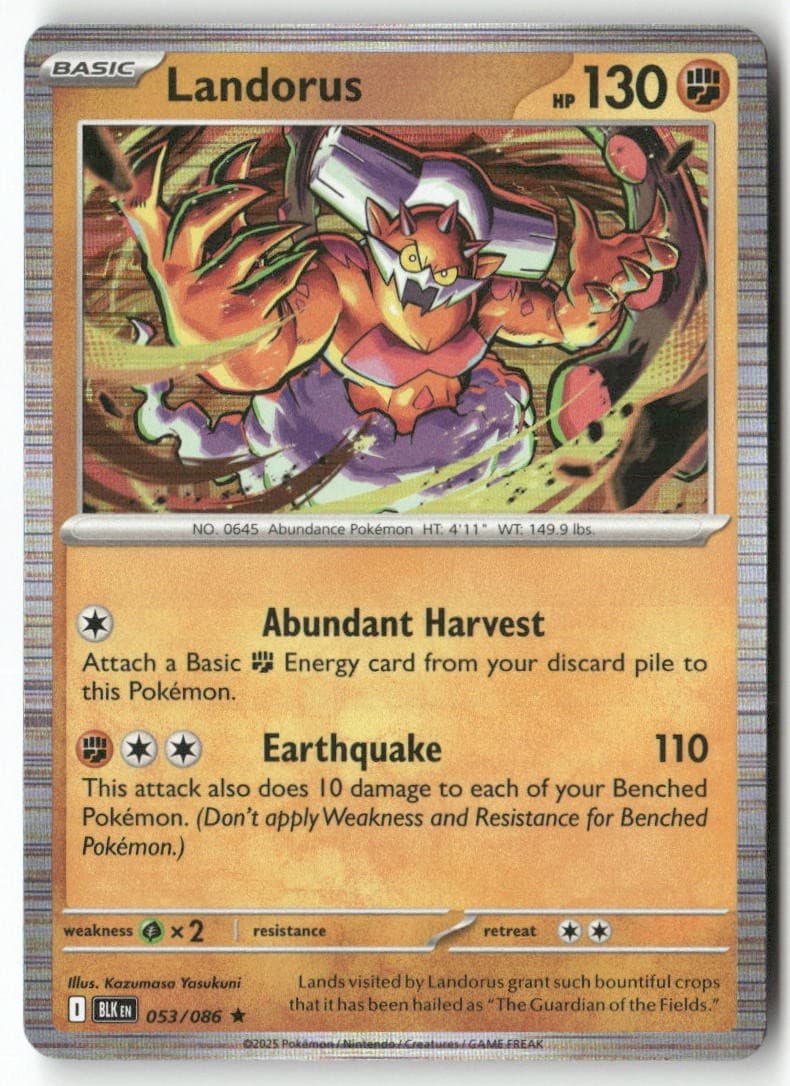 Landorus 053/086 Holo Rare Black Bolt Pokemon LP