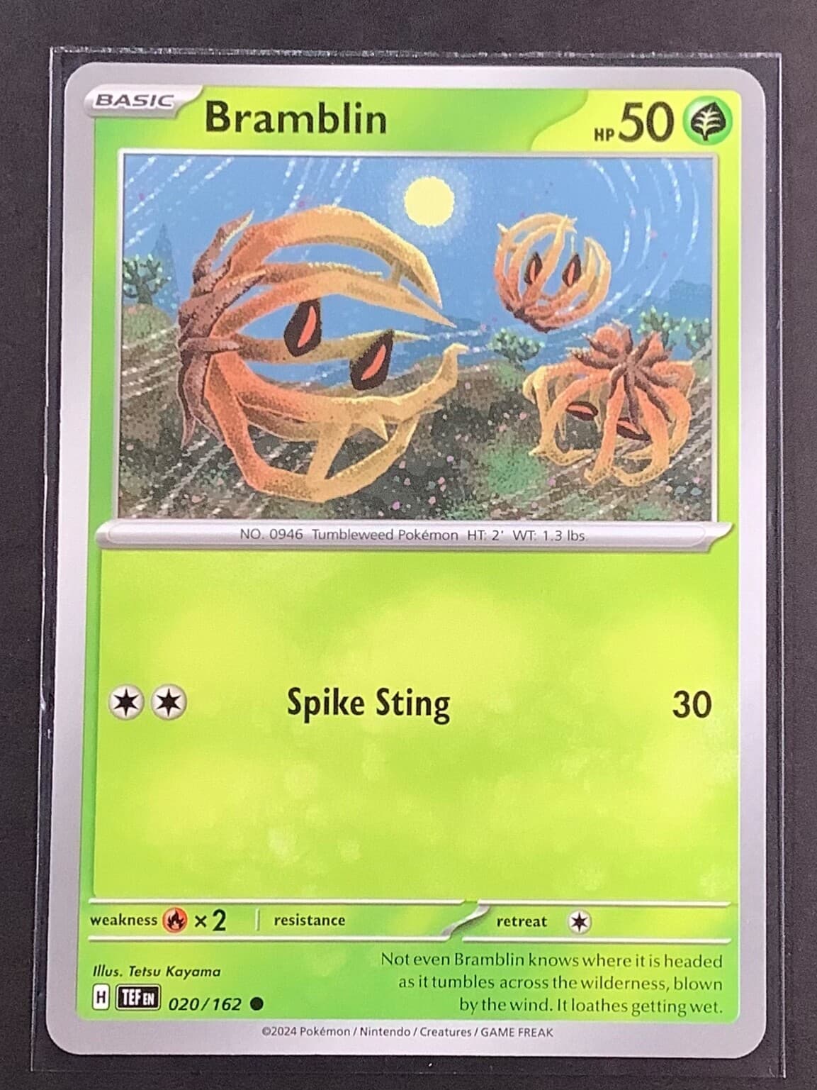 2024 Pokemon Temporal Forces - 20/162 Bramblin Regular - NM