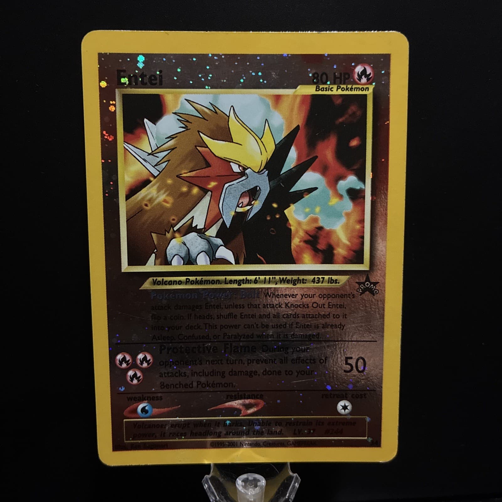 Entei 34 *Double Swirl* Promo Wizards Black Star Promos Pokemon Reverse Holo MP