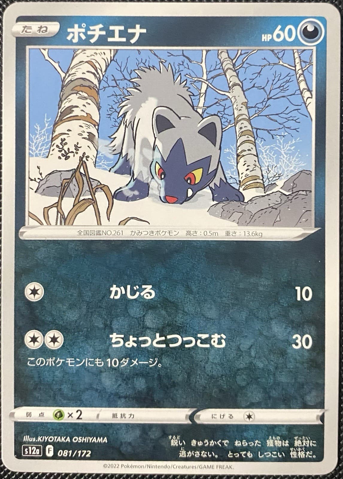 Poochyena 081/172 S12a: Vstar Universe Regular (Japanese) Pokémon