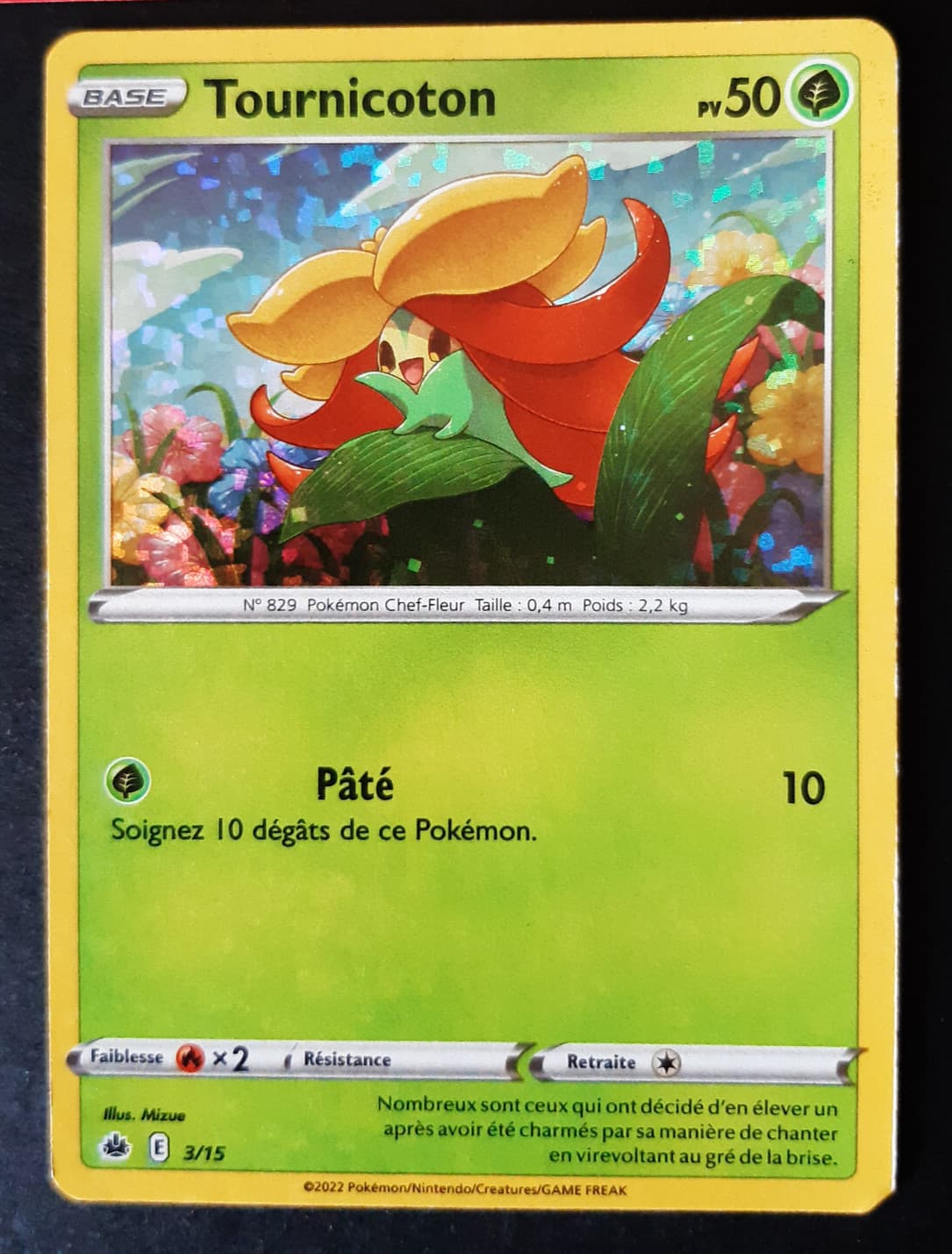 Tournicoton HOLO 3/15 Carte Pokemon Promo Mc Donald's 2022 Français