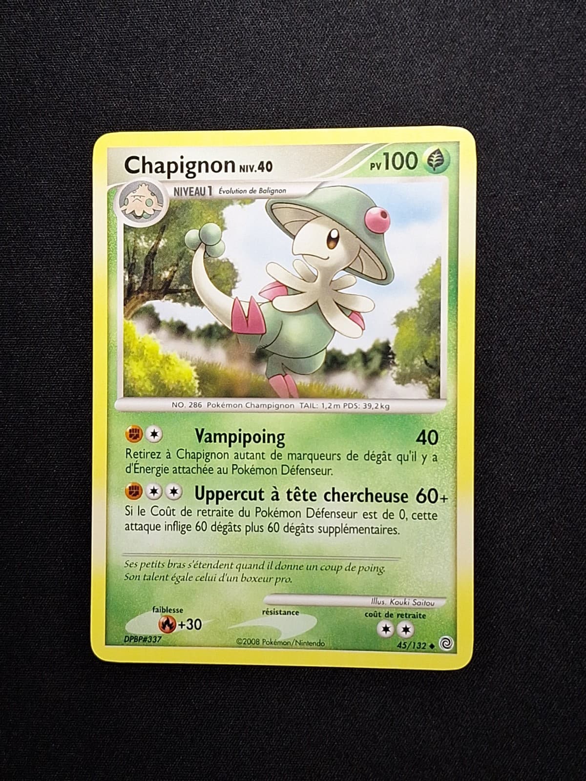 Chapignon 45/132 DP Merveilles secrètes Pokémon FR