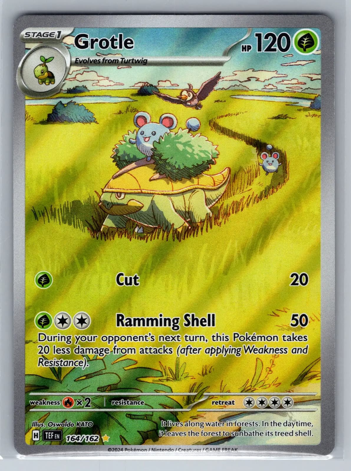 Pokemon 2024 Temporal Forces Grotle #164/162 Secret Rare — photo 1 of 2