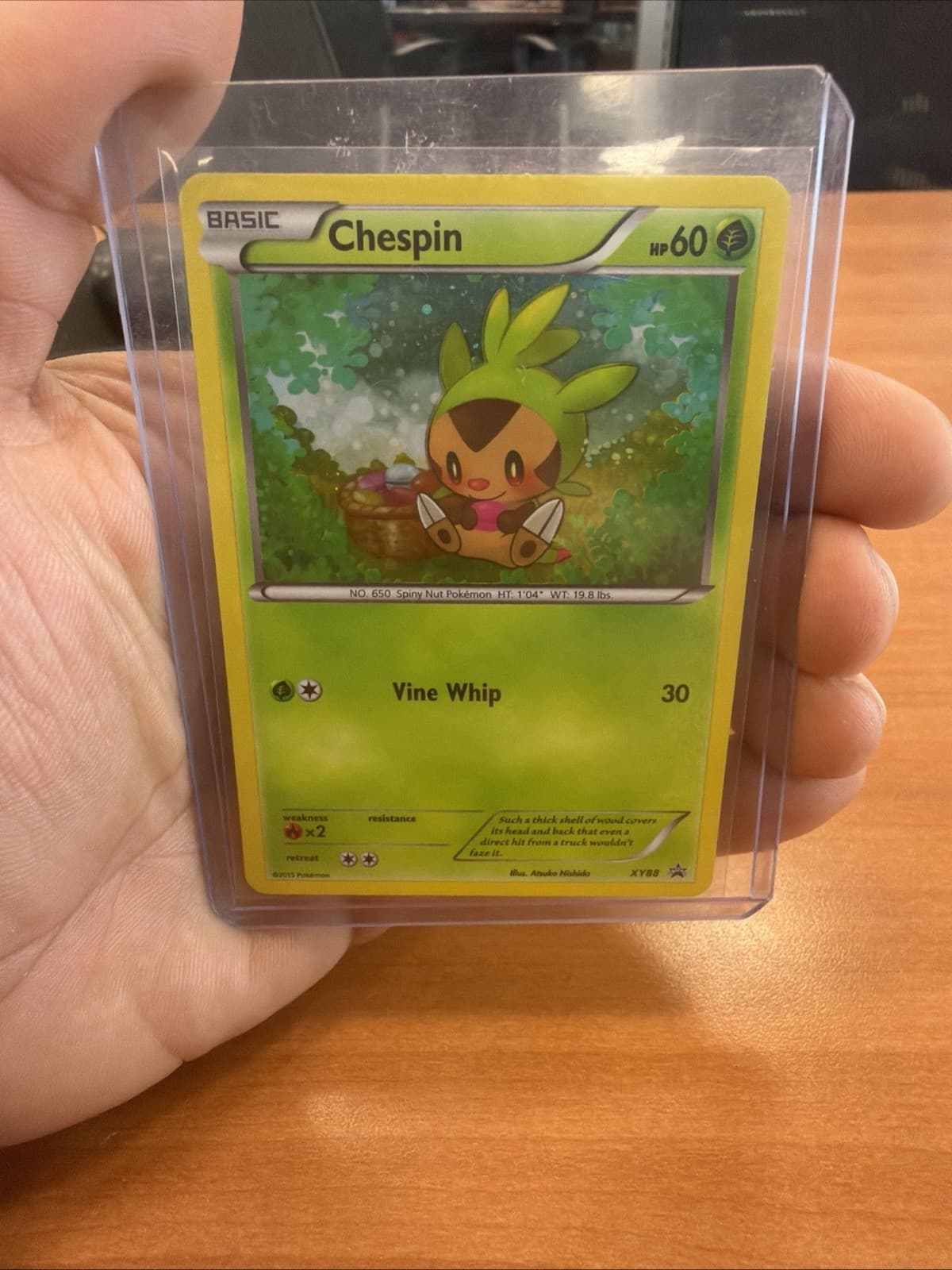 Chespin - XY88 - Holo Promo POKEMON XY PROMOS LP