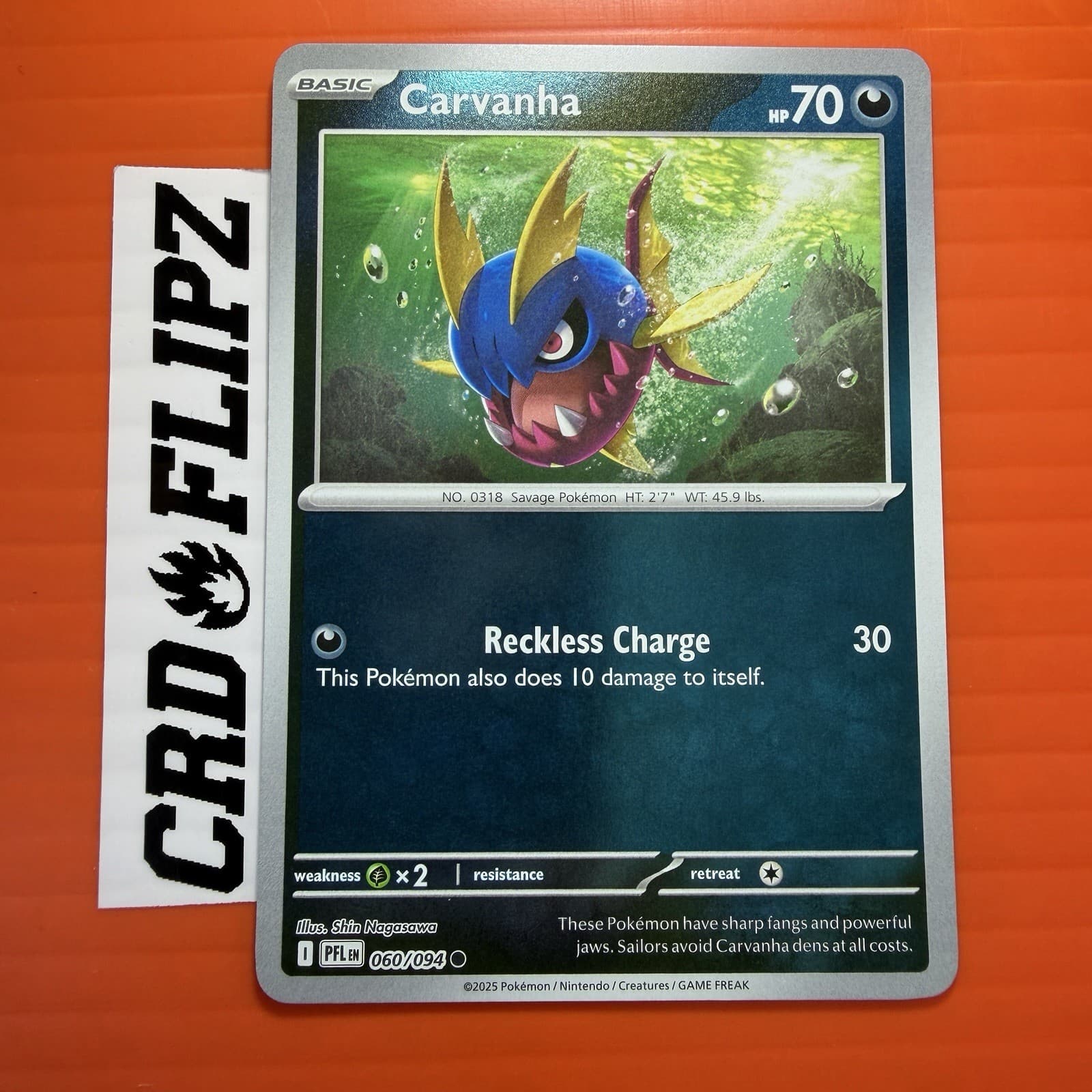 Pokemon Phantasmal Flames Carvanha 60/94 common NM