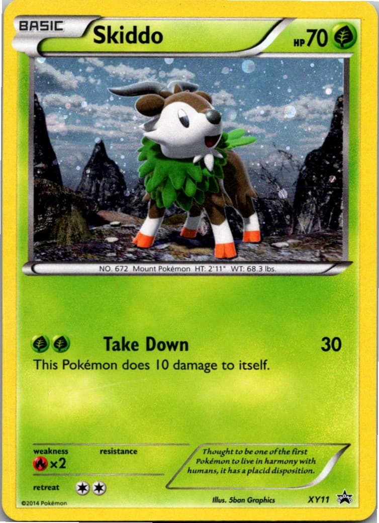 Skiddo XY11 Holo Promo XY Promo Pokemon Near Mint