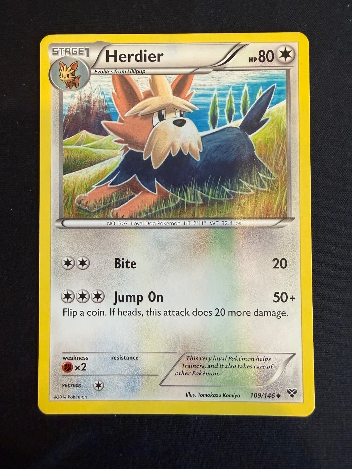 Herdier 109/146 Uncommon XY Pokemon Near Mint