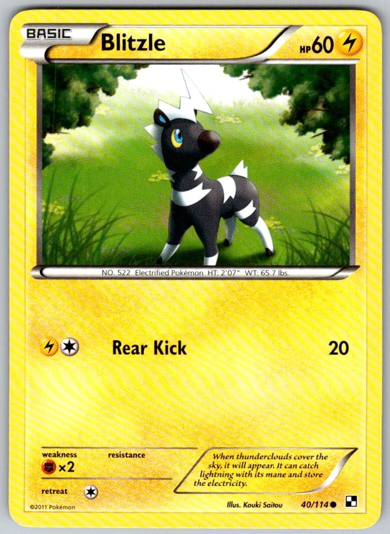 Blitzle 40/114 Common Black & White Pokemon Lightly Played