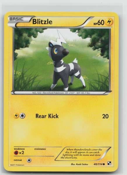 Blitzle 40/114 Black & White Common LP Pokemon TCG