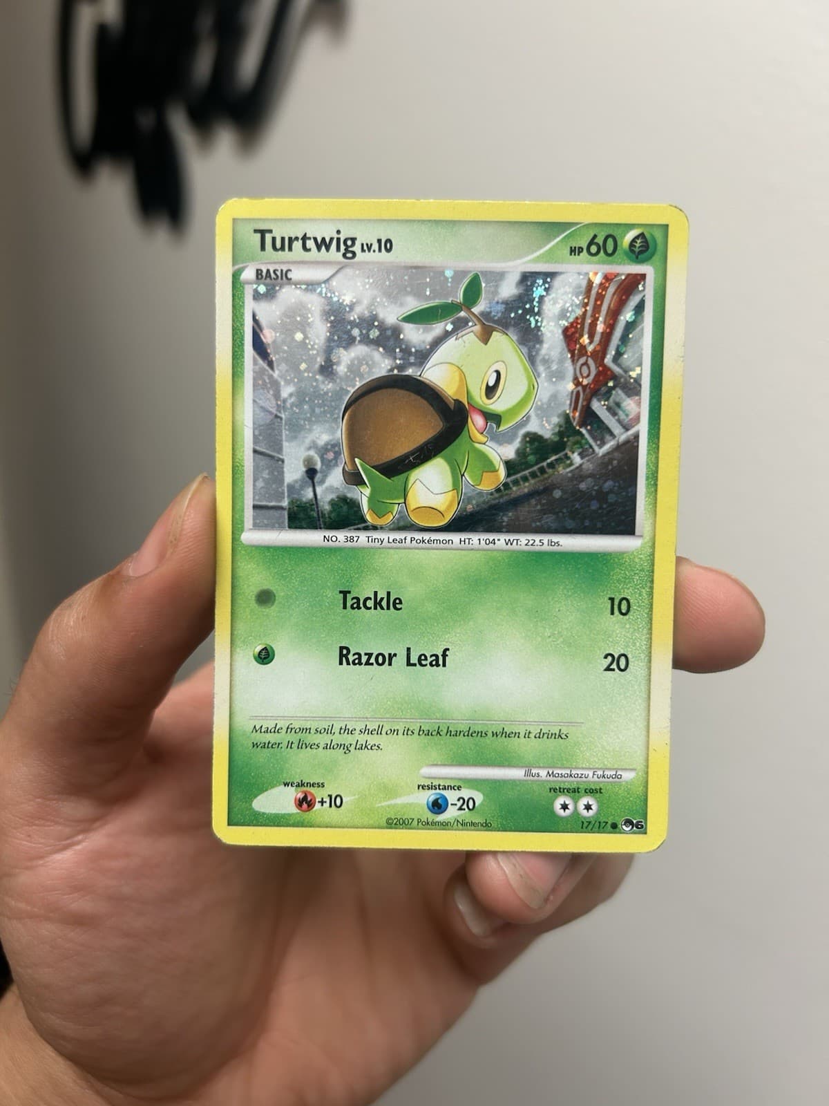 Pokemon TCG 2007 POP Series 6 Holo Turtwig 17/17