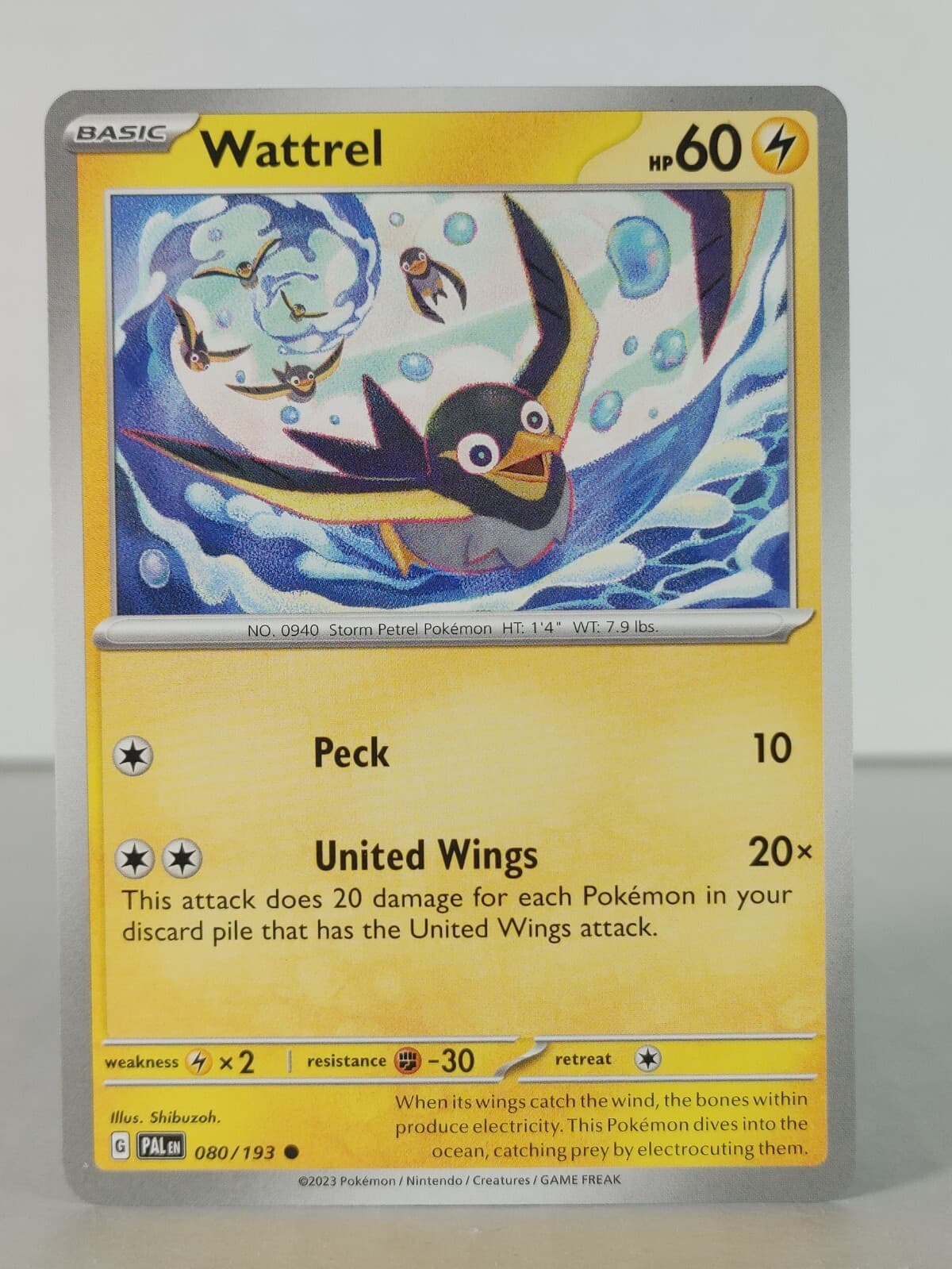 Wattrel - Paldea Evolved - 080/193 - singles - Pokemon TCG - Common