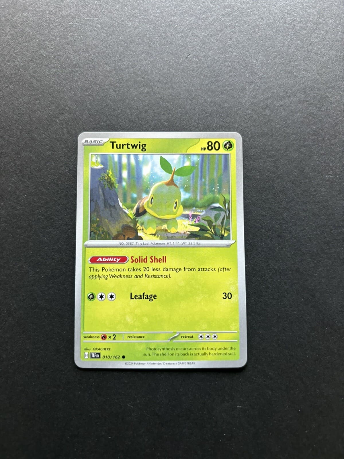 2024 Pokémon Temporal Forces - Turtwig No. 10/162