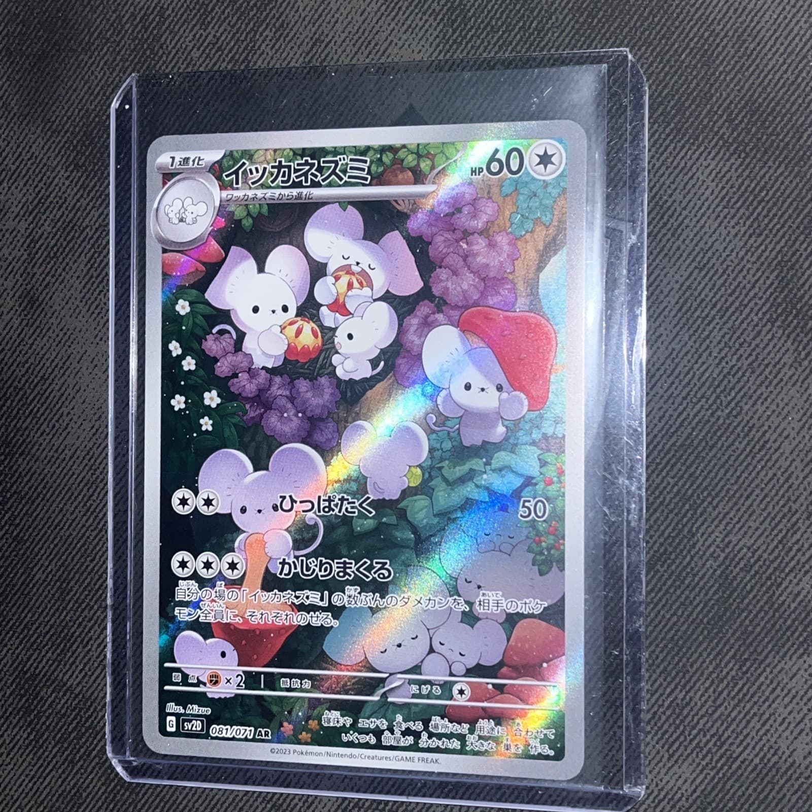 2023 Near Mint Pokemon Maushold 081/071 AR SV2D Clay Burst Japanese NEAR MINT
