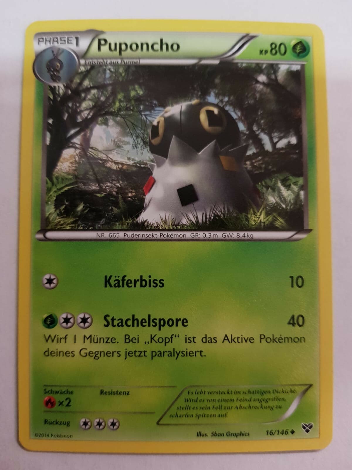 Pokemon XY 16/146 - Puponcho - Pokemon Karte / Super Zustand!
