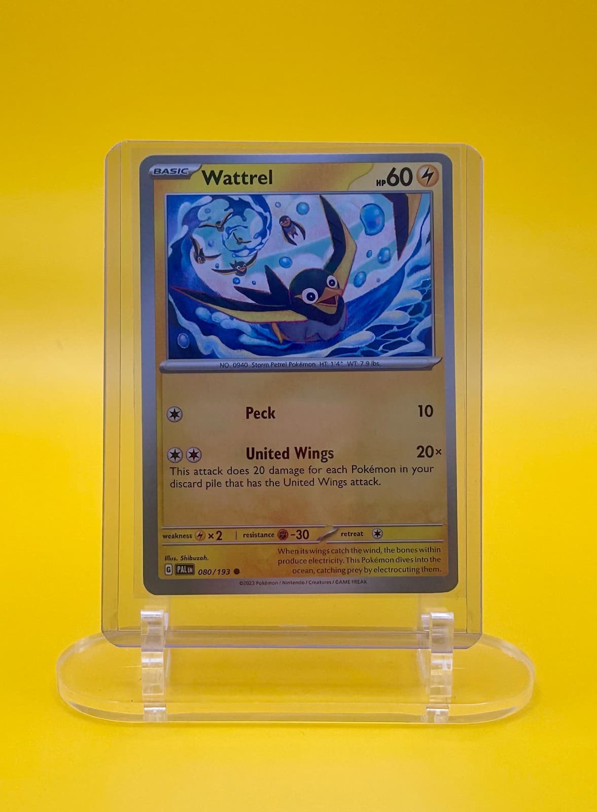 Wattrel; Paldea Evolved 80/193 Common