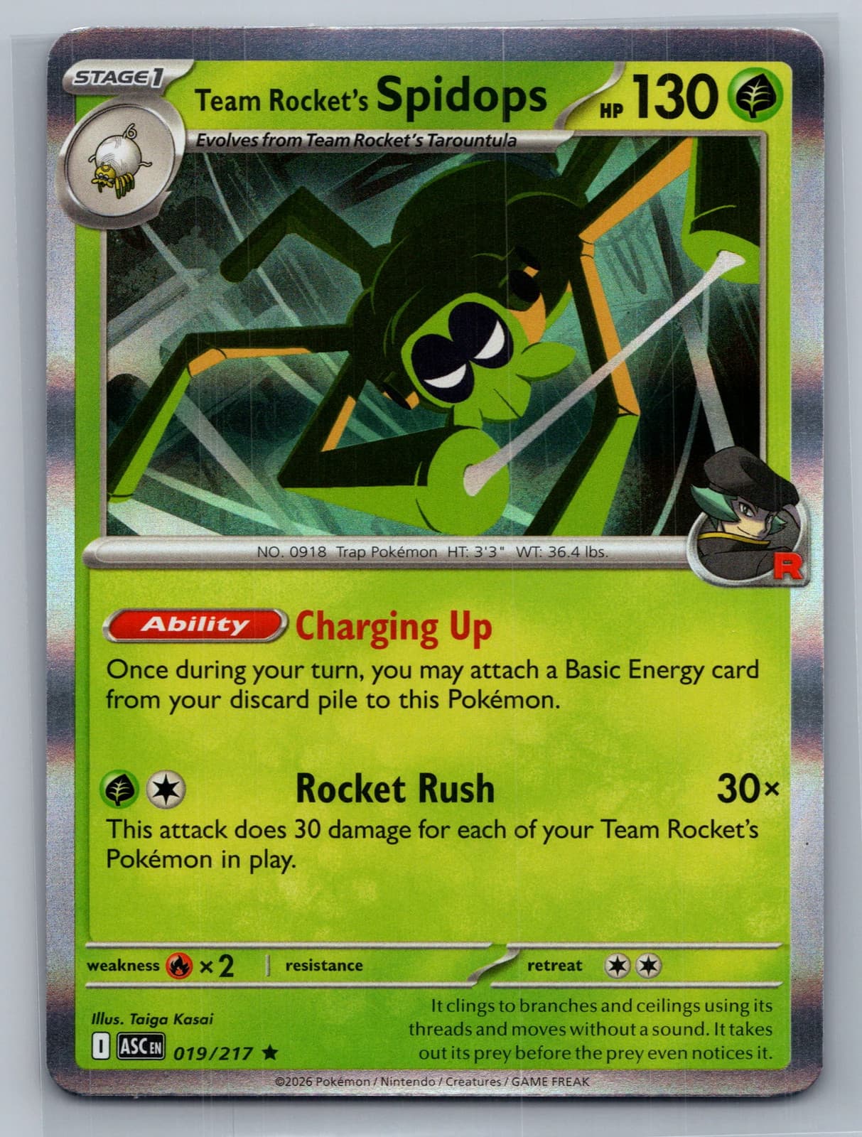 Team Rocket's Spidops 19/217 Ascended Heroes Holo Rare Pokemon TCG NM — photo 1 of 2
