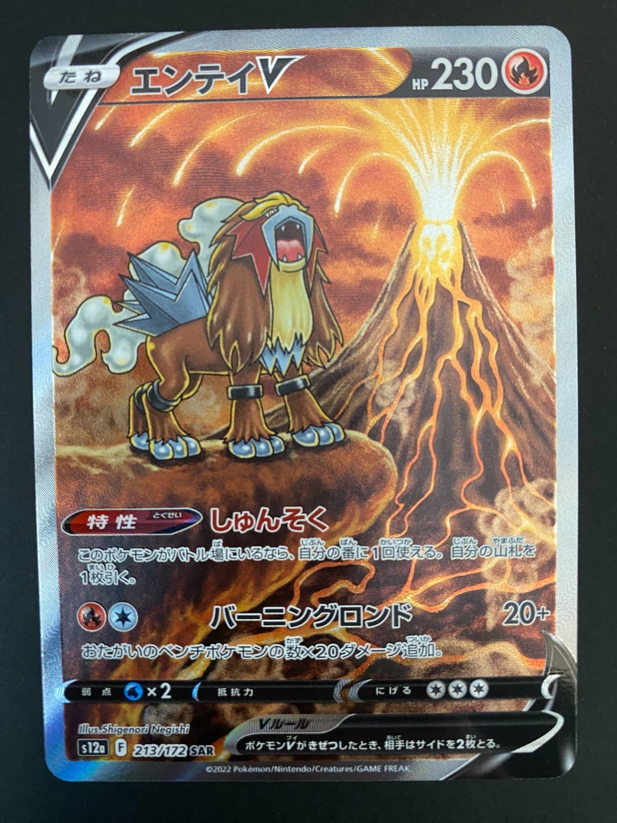Entei V 213/172 S12a: Vstar Universe Holo (Japanese) Near Mint