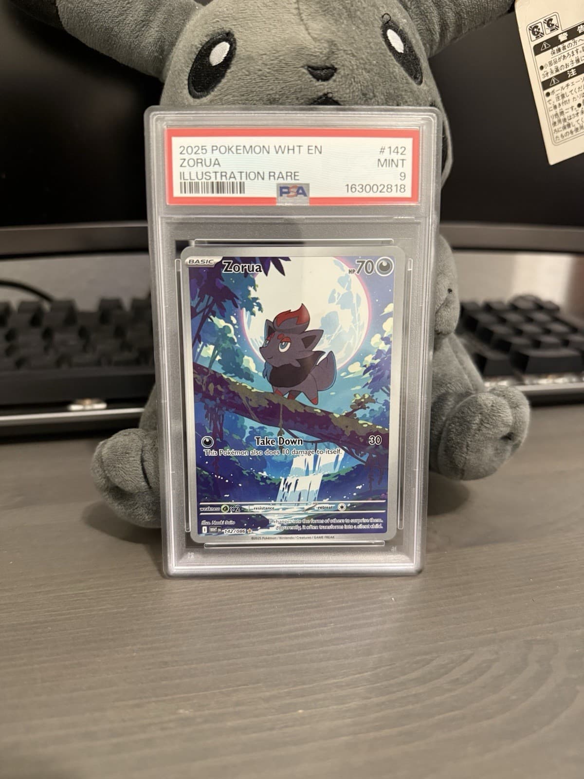 Pokemon Zorua 142/086 Sv: White Flare Illustration Rare Holo ENG 2025 PSA 9