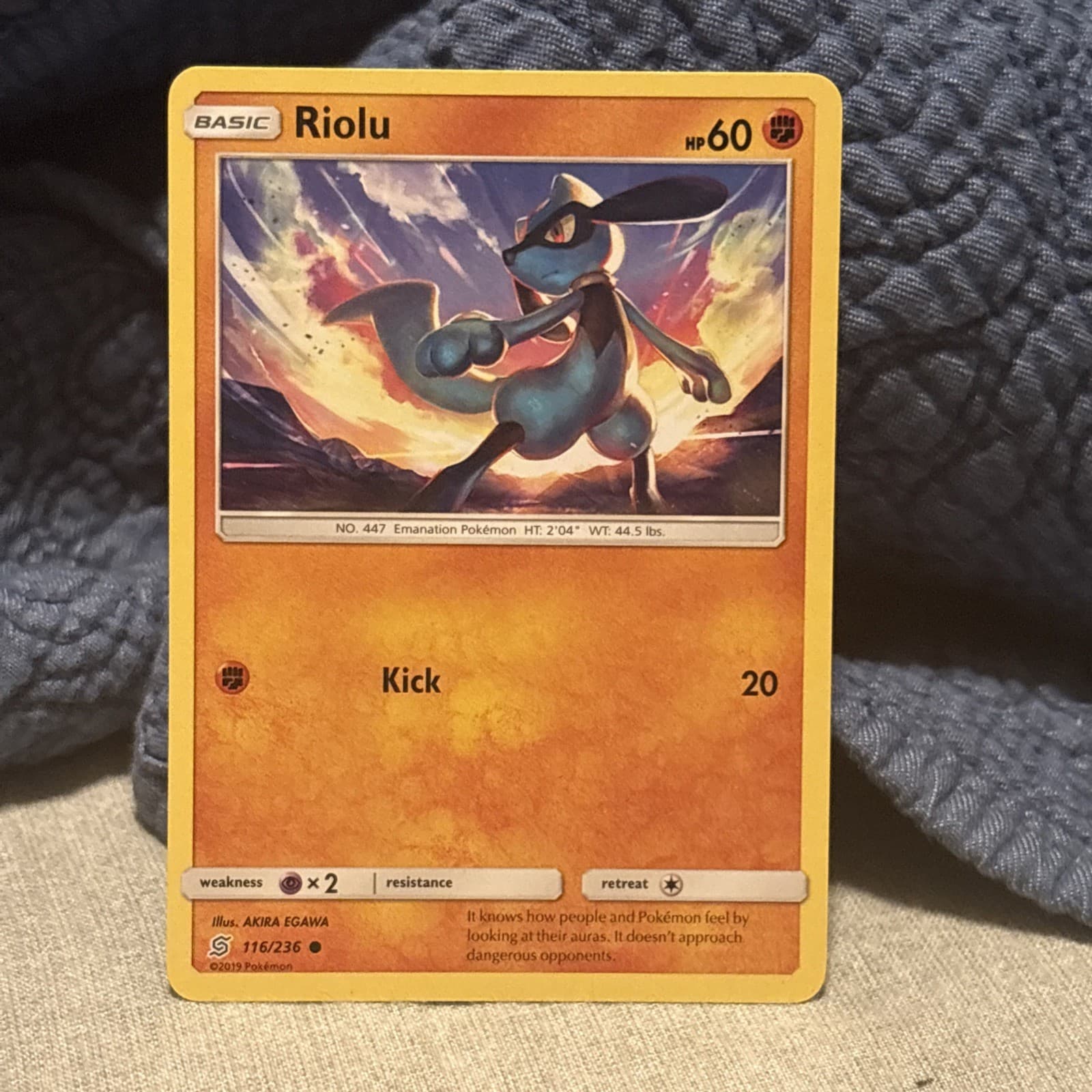 Unified Minds Riolu 116/236