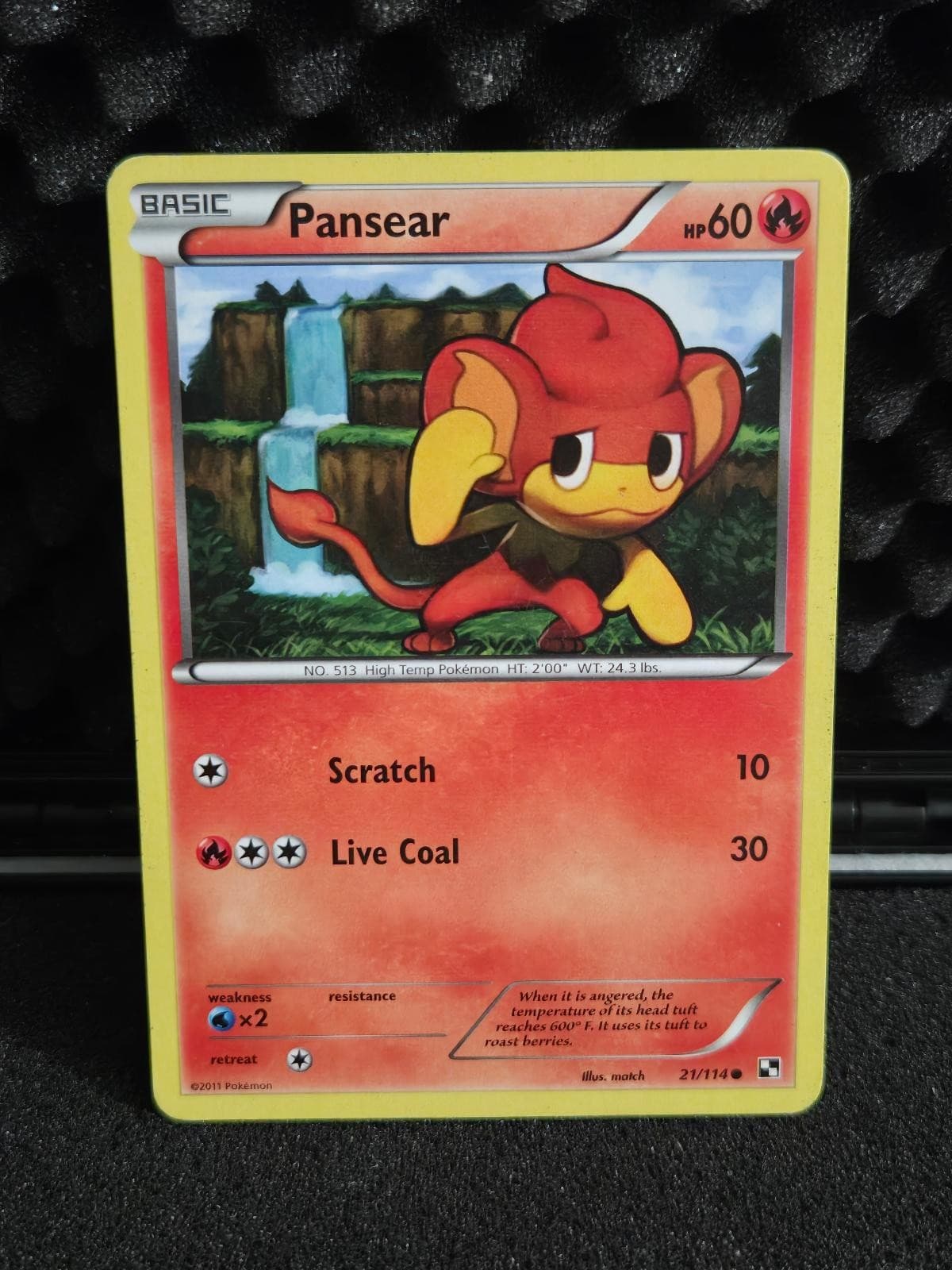 Pansear 21/114 Common Black & White Pokemon Lightly Played