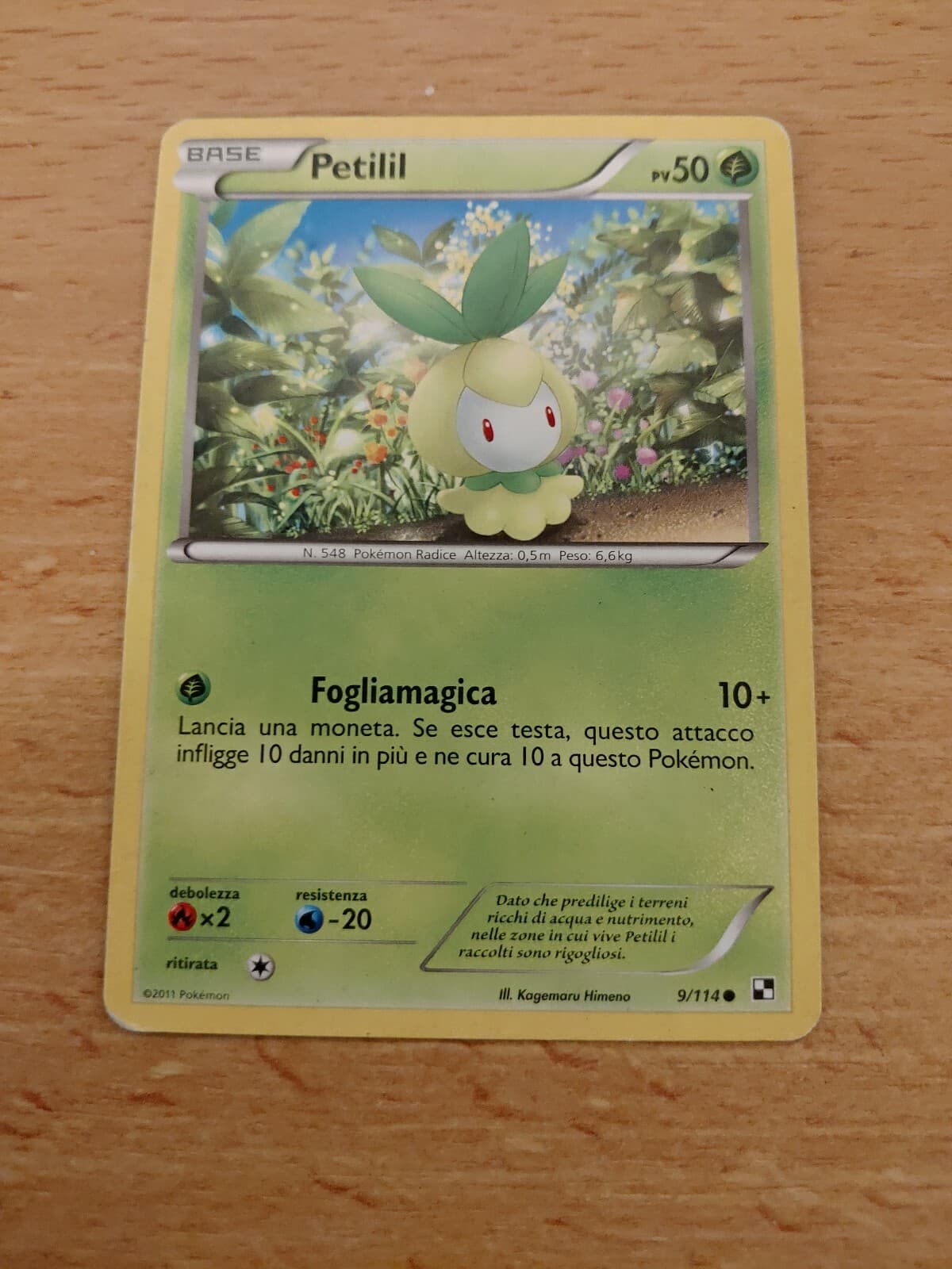Pokemon - Petilil 9/114 Bianco e Nero 2011 ITALIAN