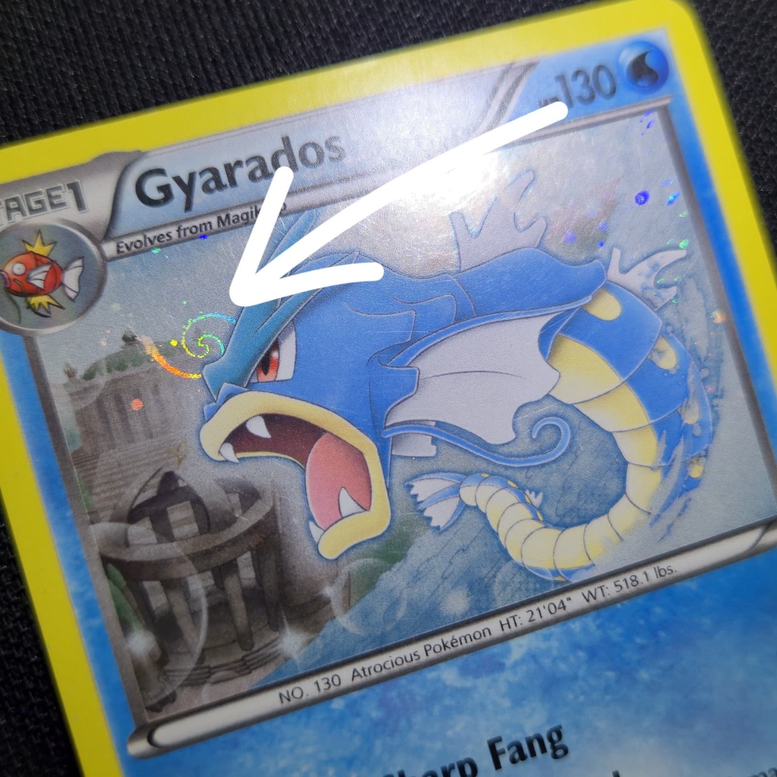 HD GALAXY SWIRL Gyarados 24/124 Dragons Exalted Cosmos Holo Promo Pokemon Card
