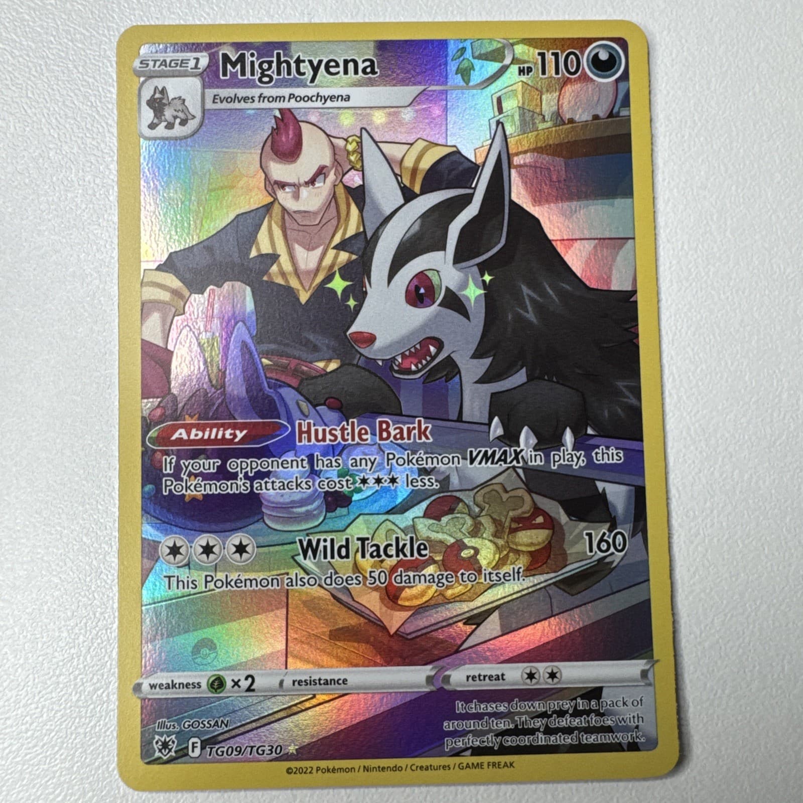 Pokémon TCG Mightyena TG09/TG30 Swsh10: Astral Radiance Trainer Gallery Holo NM