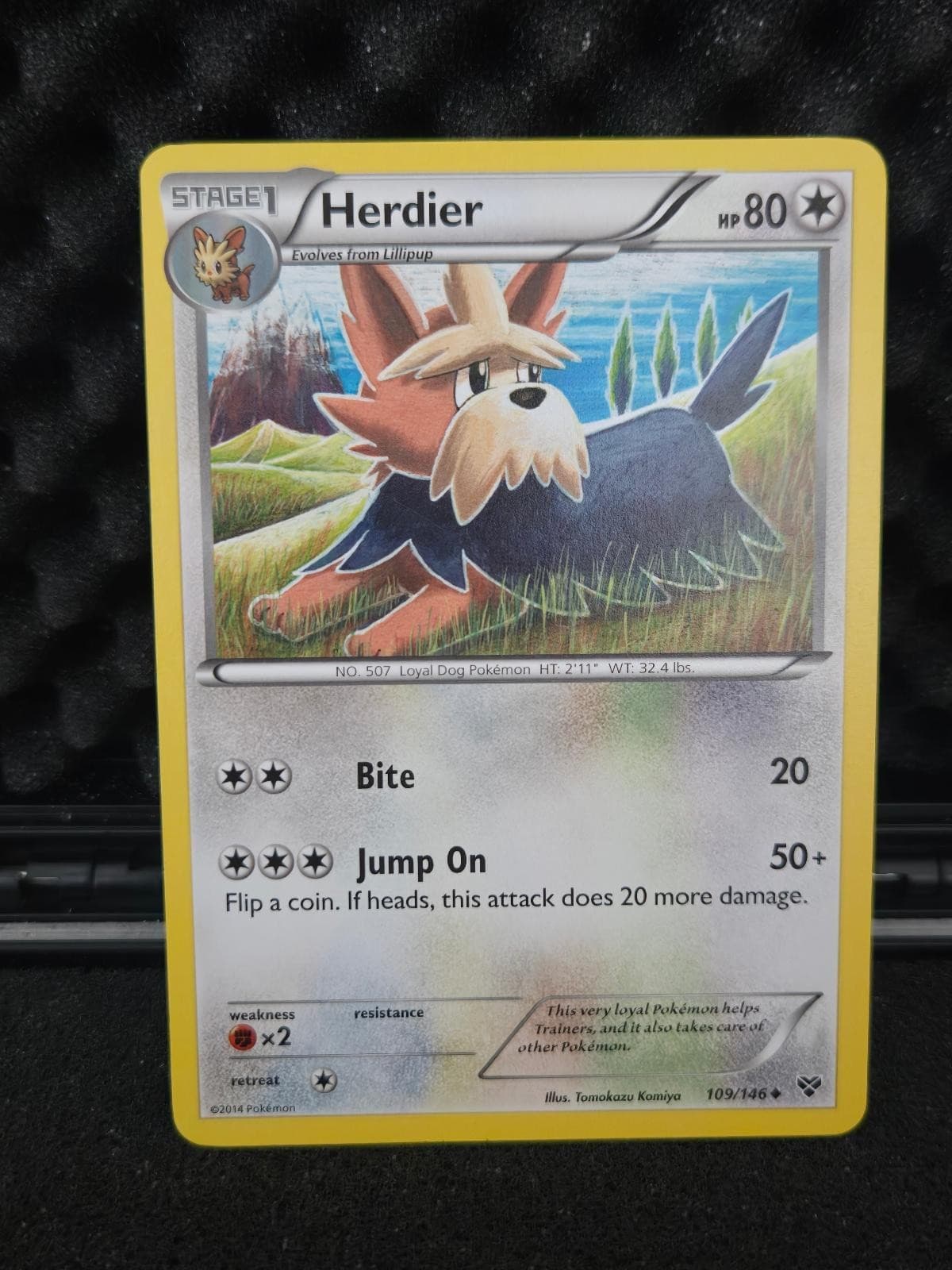 Herdier 109/146 Uncommon XY Base Set Pokemon Near Mint