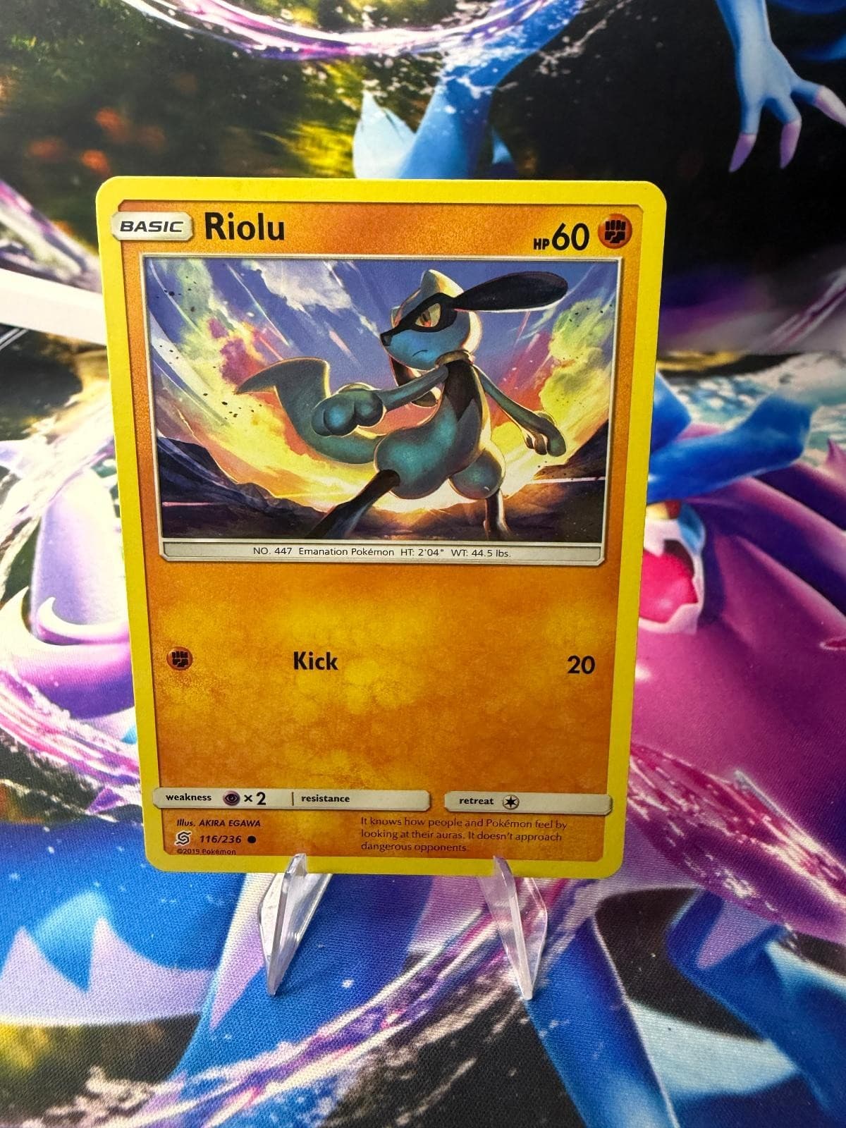 RIOLU 116/236 UNIFIED MINDS Common Pokemon