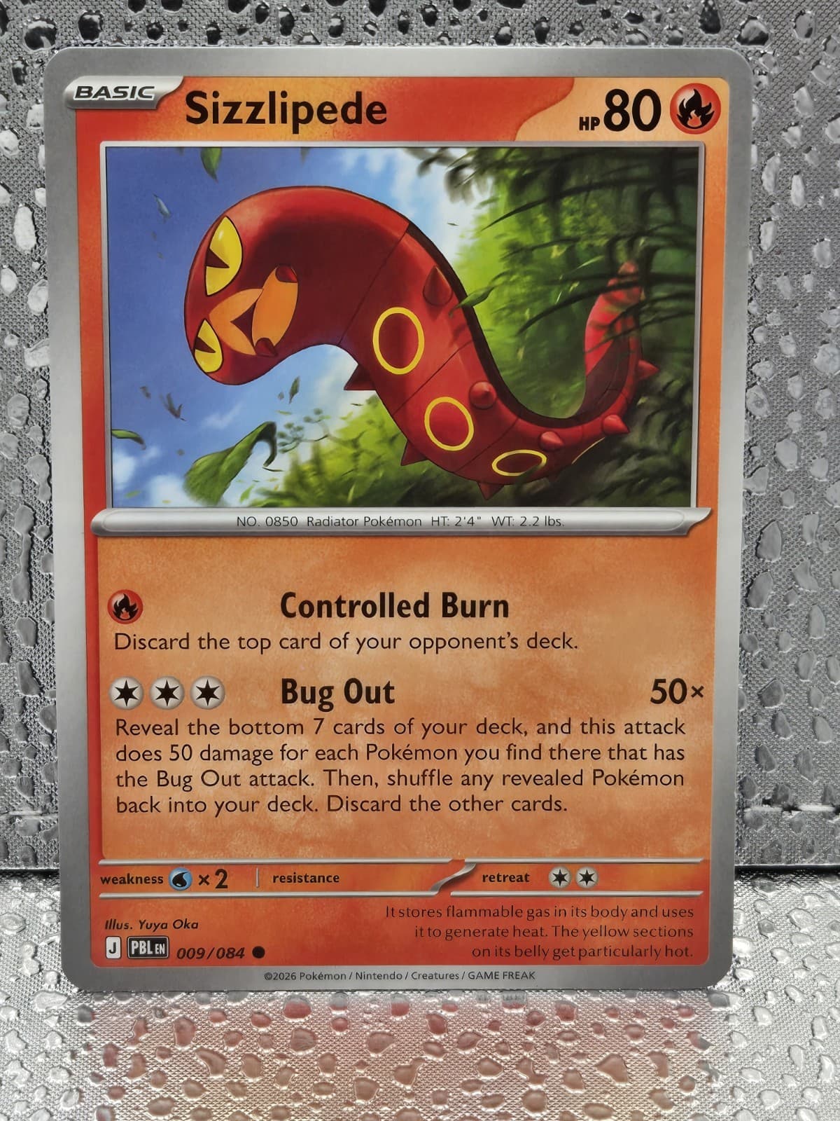 Sizzlipede 009/084 Common Pitch Black Pokemon Regular NM