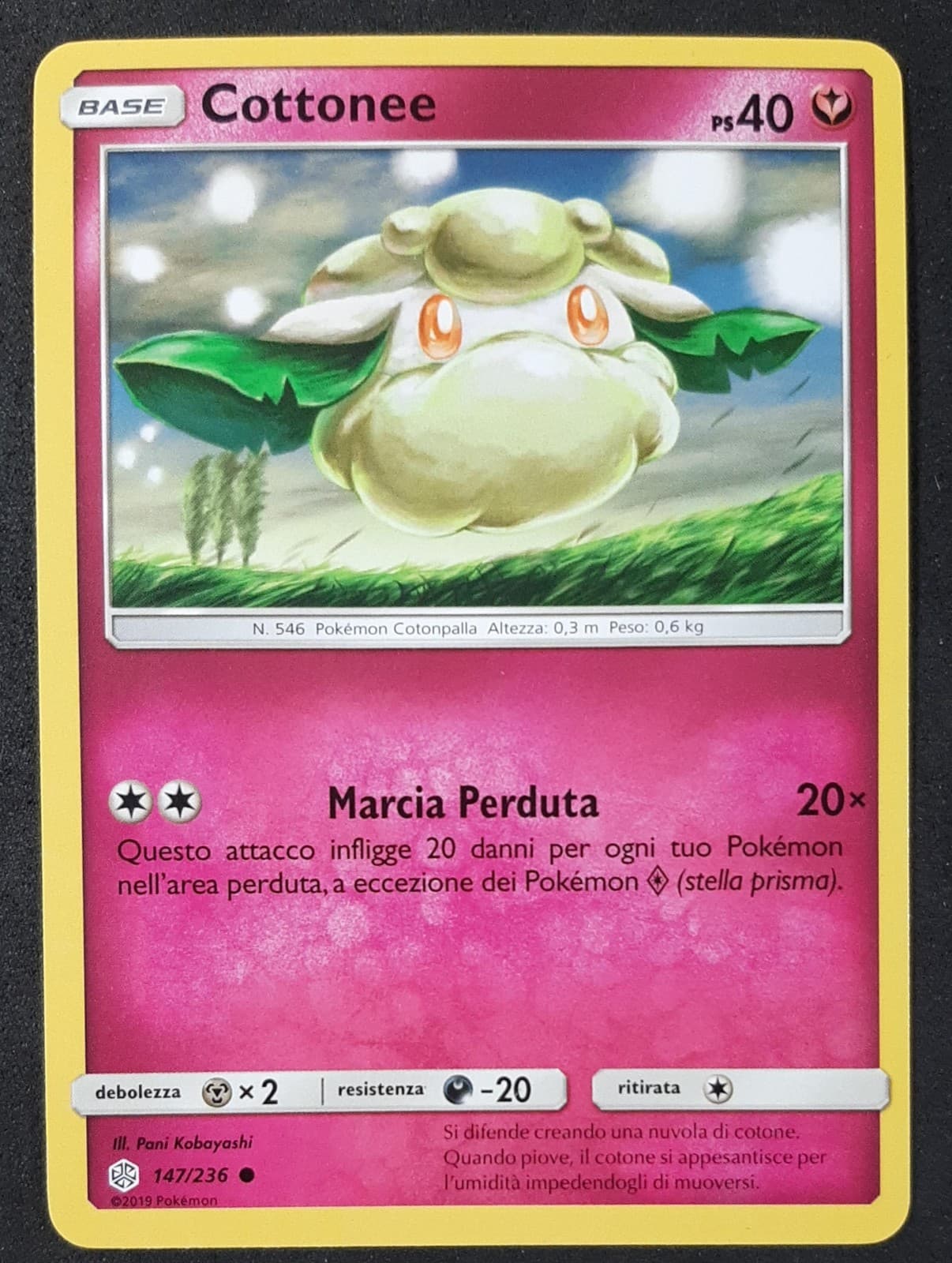 COTTONEE 147/236 in Italiano POKEMON Eclissi Cosmica