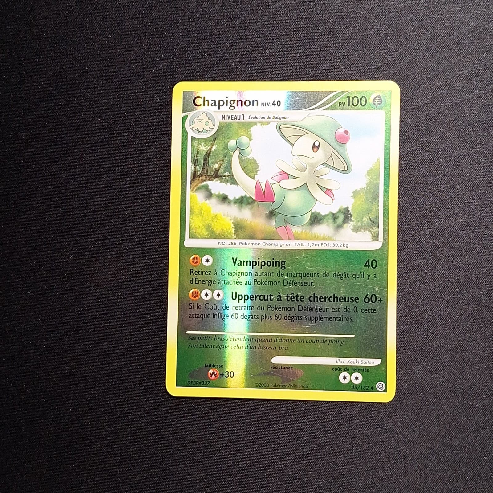 EXC NM Chapignon 45/132 DP Merveilles Secrètes Carte Pokemon FR