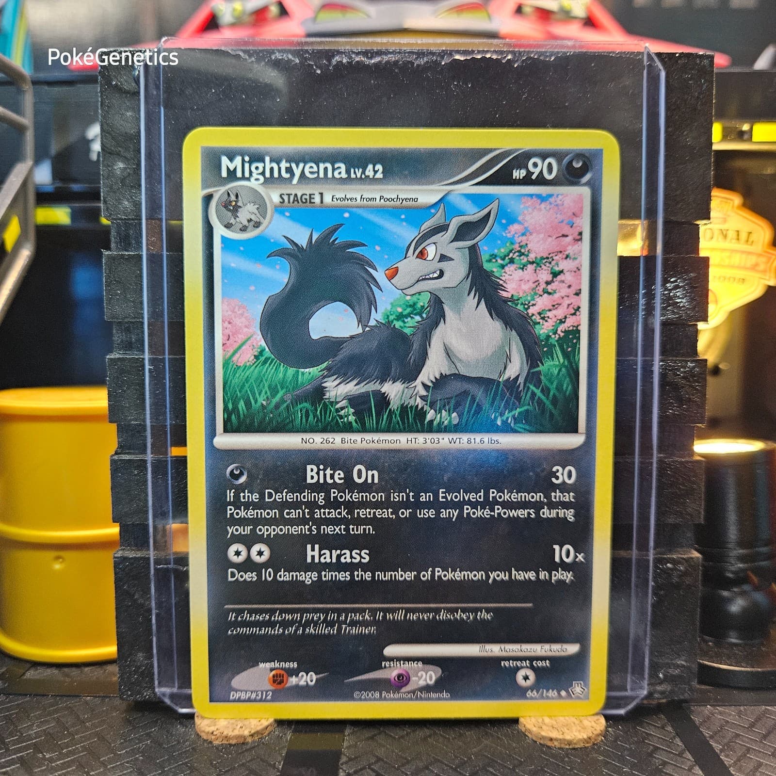 Mightyena Legends Awakened Pokémon TCG 66/146 Diamond & Pearl Uncommon