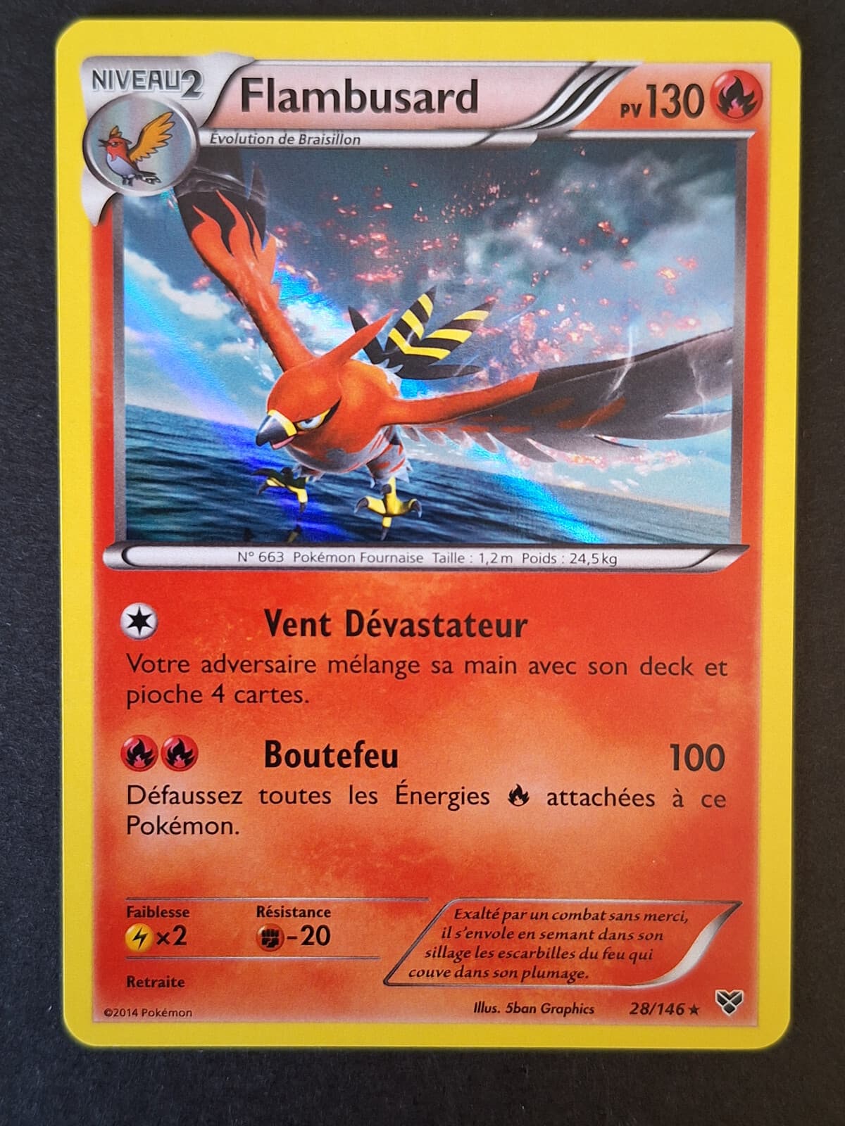Flambusard HOLO 28/146 XY Carte Pokemon Rare Français