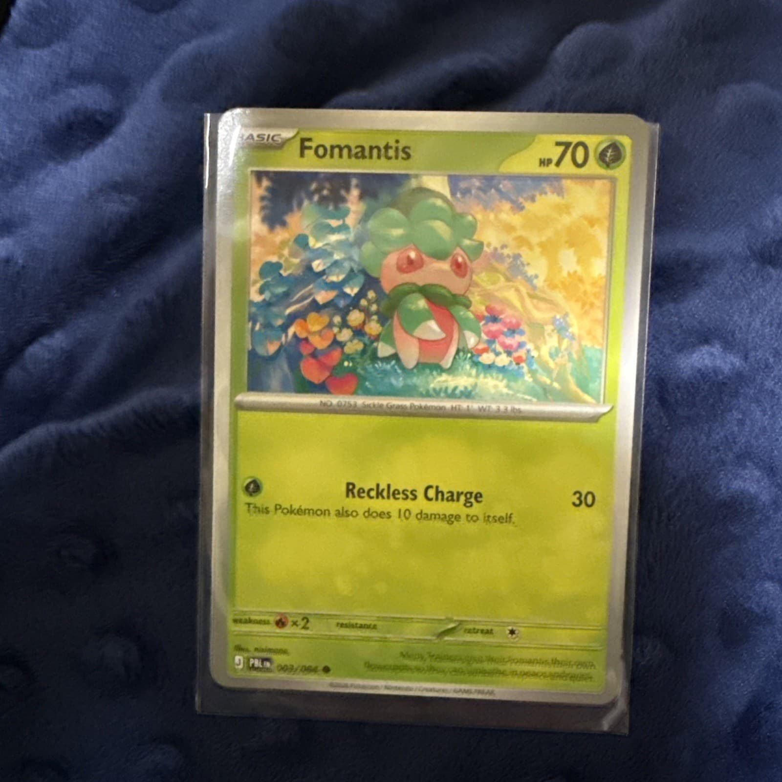 Pokemon TCG: Fomantis 3/84, Pitch Black