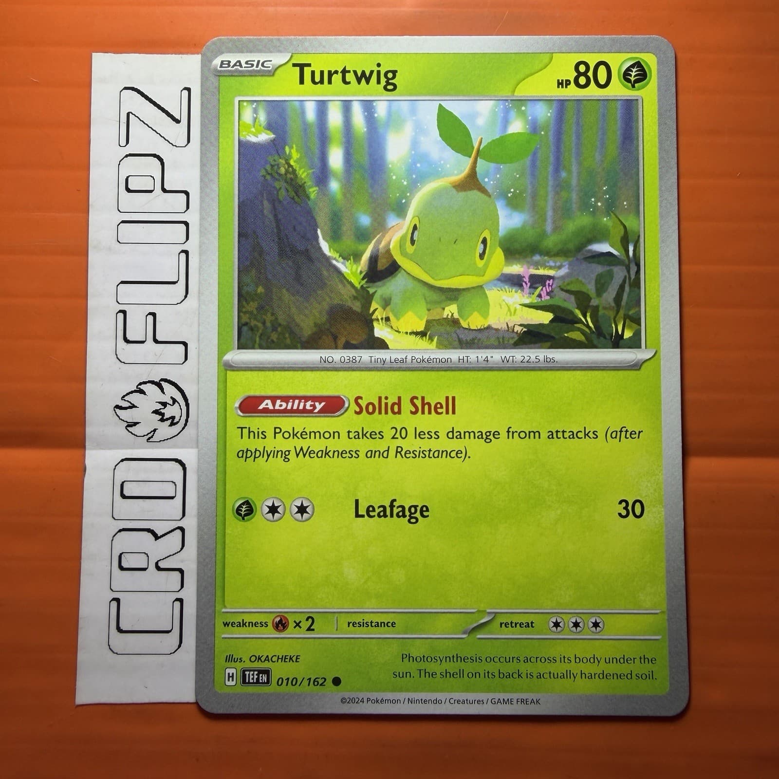 Turtwig 010/162 SV05 Temporal Forces C NM Pokémon — English